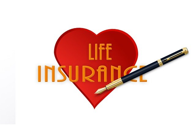 whole life insurance In 2024