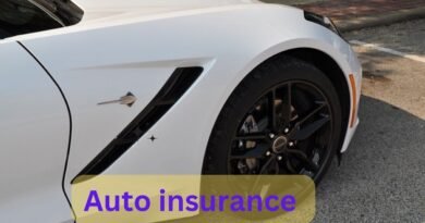 Auto insurance 2024