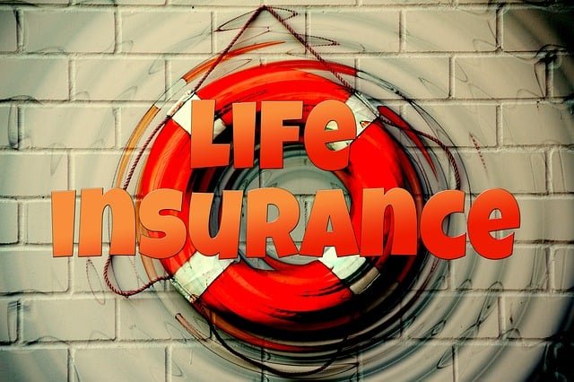Life Insurance - Meaning 2024.